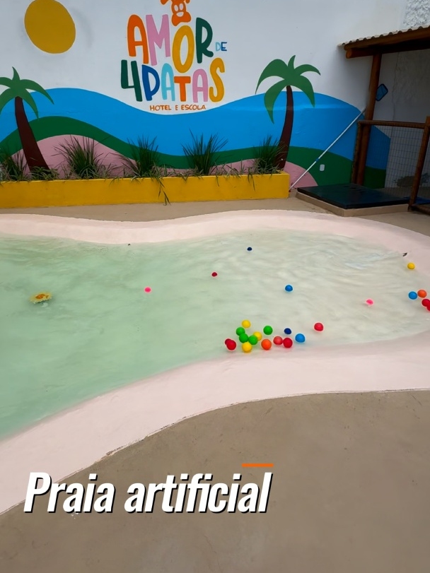 Imagem - 6